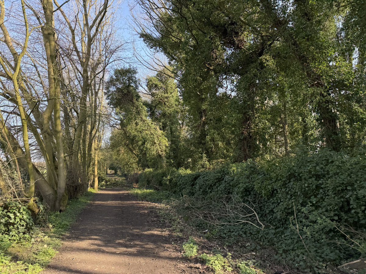 rly cool girl tweet media