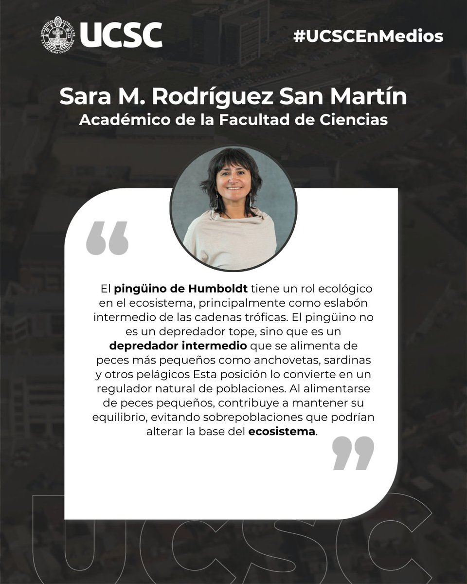 UCSC Concepción tweet media