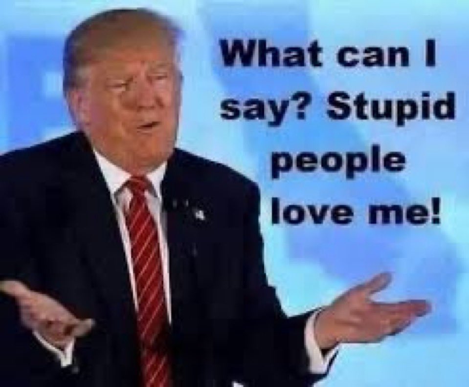 Monica 🇺🇸🇺🇦🇬🇱 tweet media