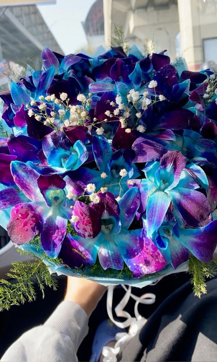 violet✧*｡ tweet media
