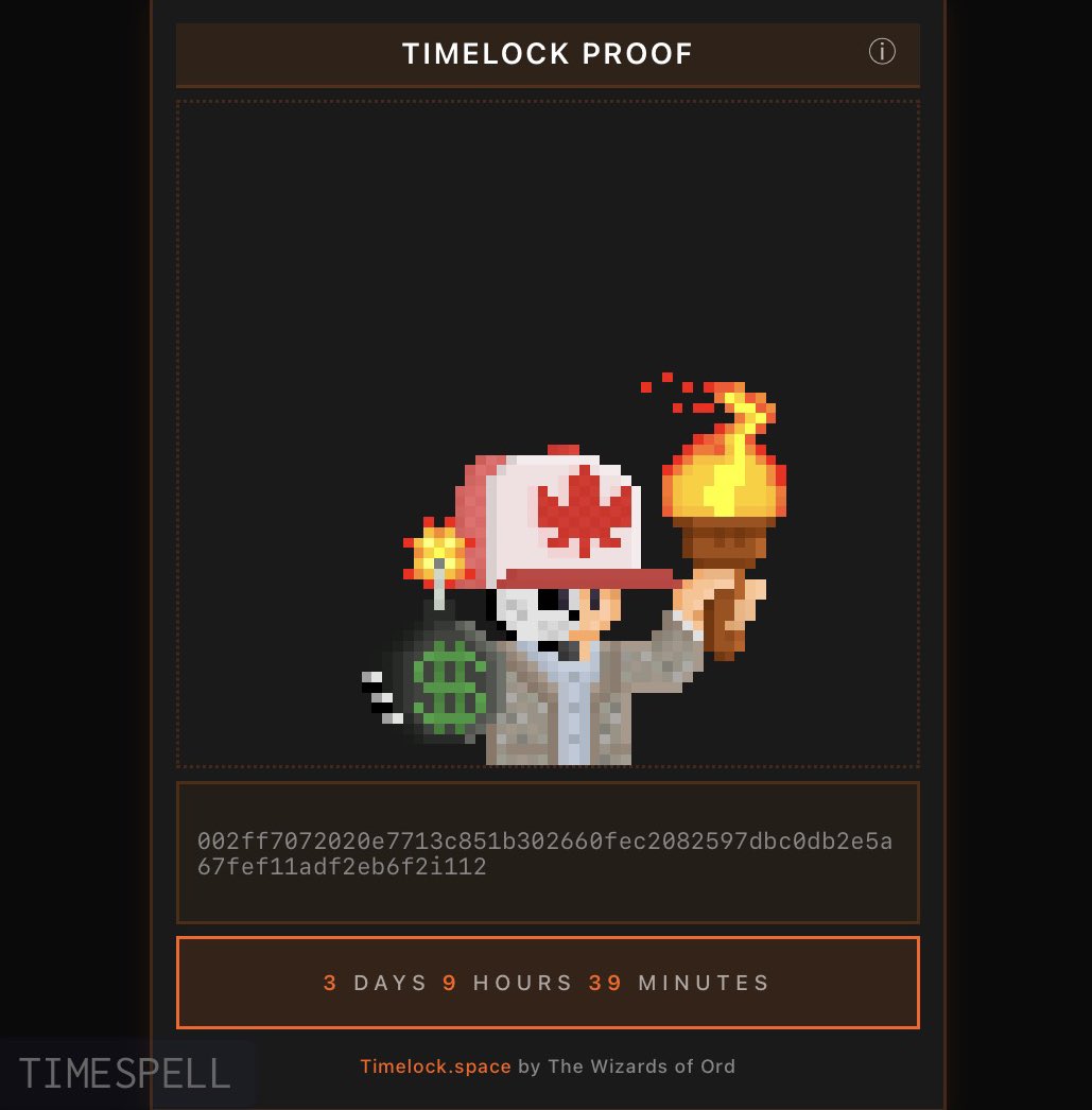 pawellwitt tweet media