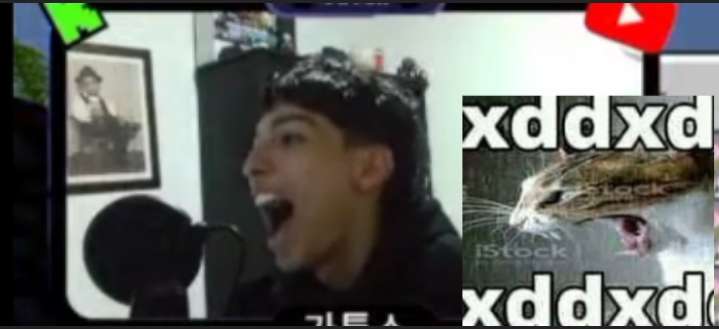 PrecutD27 tweet media