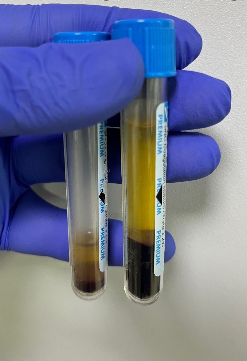 محمد هثل | Senior tweet media