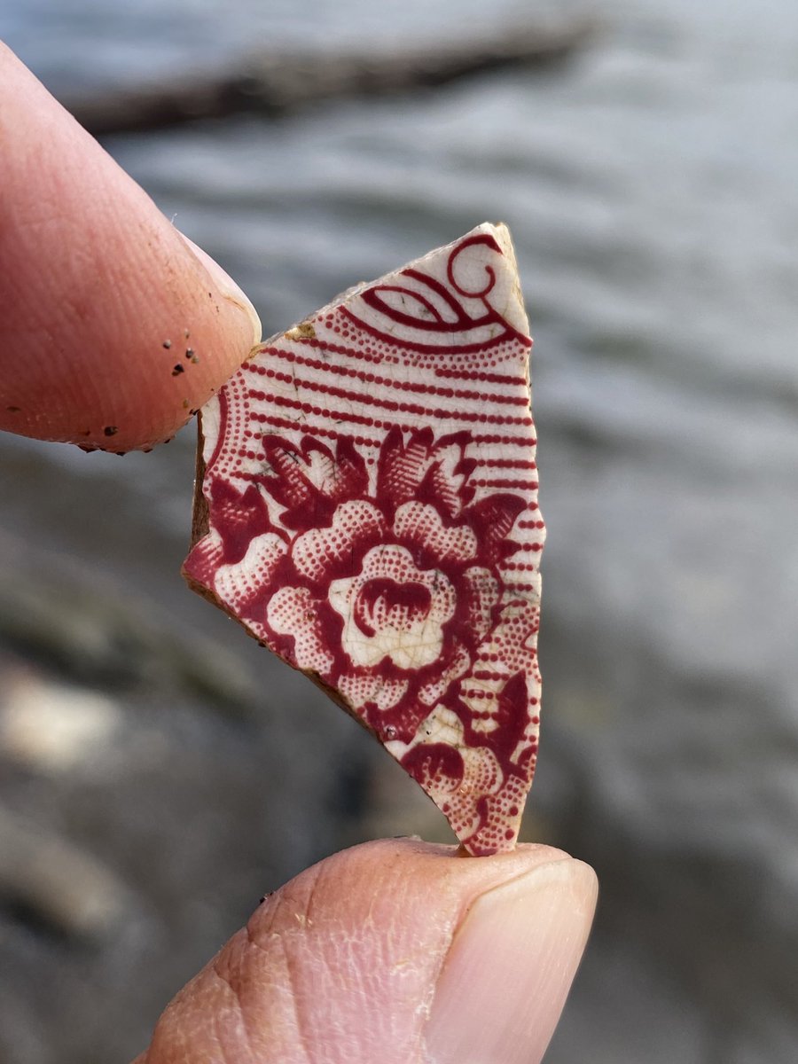 Fraser River Finds 🐟 tweet media