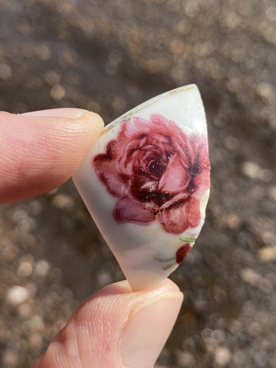 Fraser River Finds 🐟 tweet media