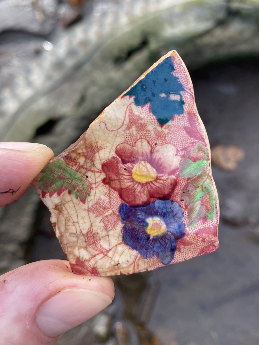 Fraser River Finds 🐟 tweet media