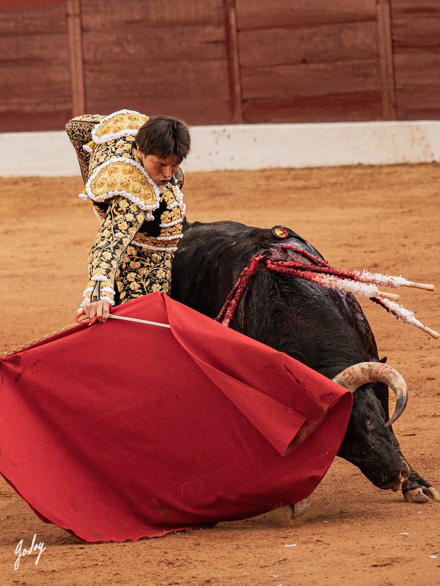 Eugenia Godoy tweet media