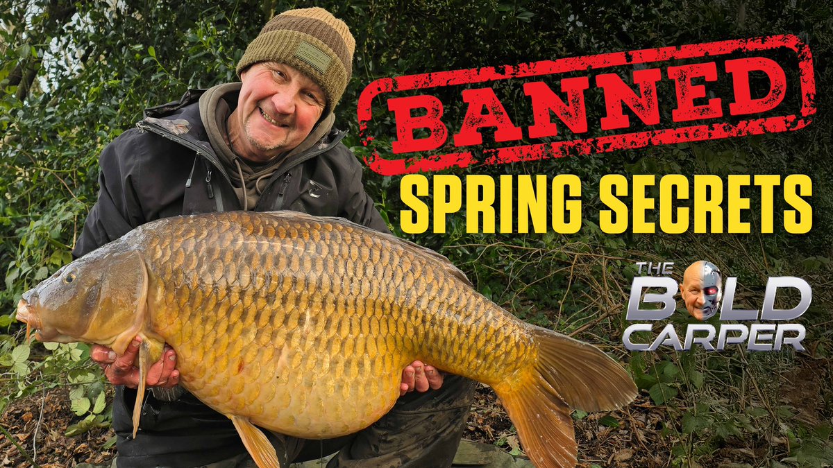 One More Cast tweet media