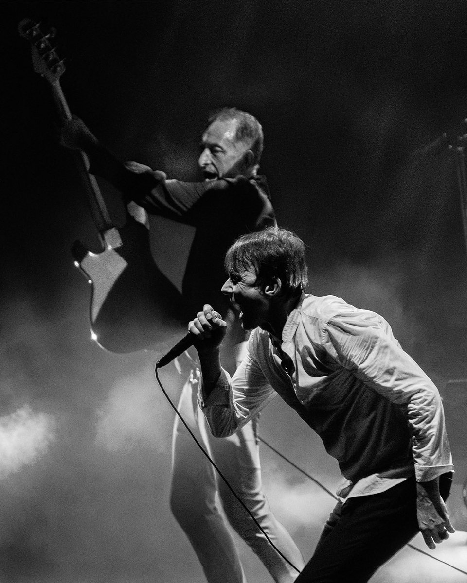 Suede HQ tweet media