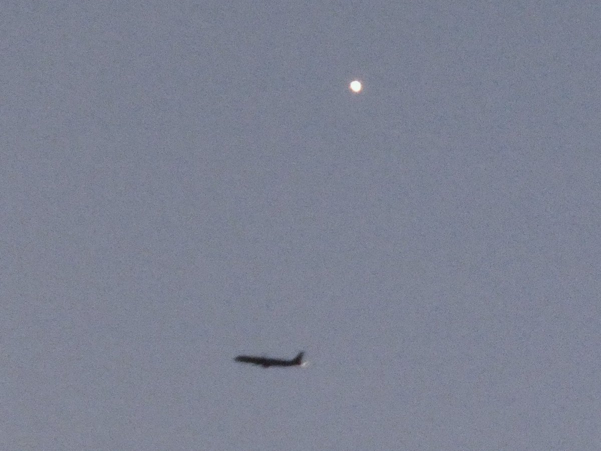 Peter Lewis tweet media