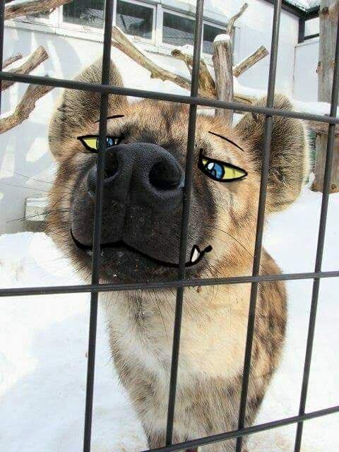 MarcoYeen 🔜 TFF tweet media