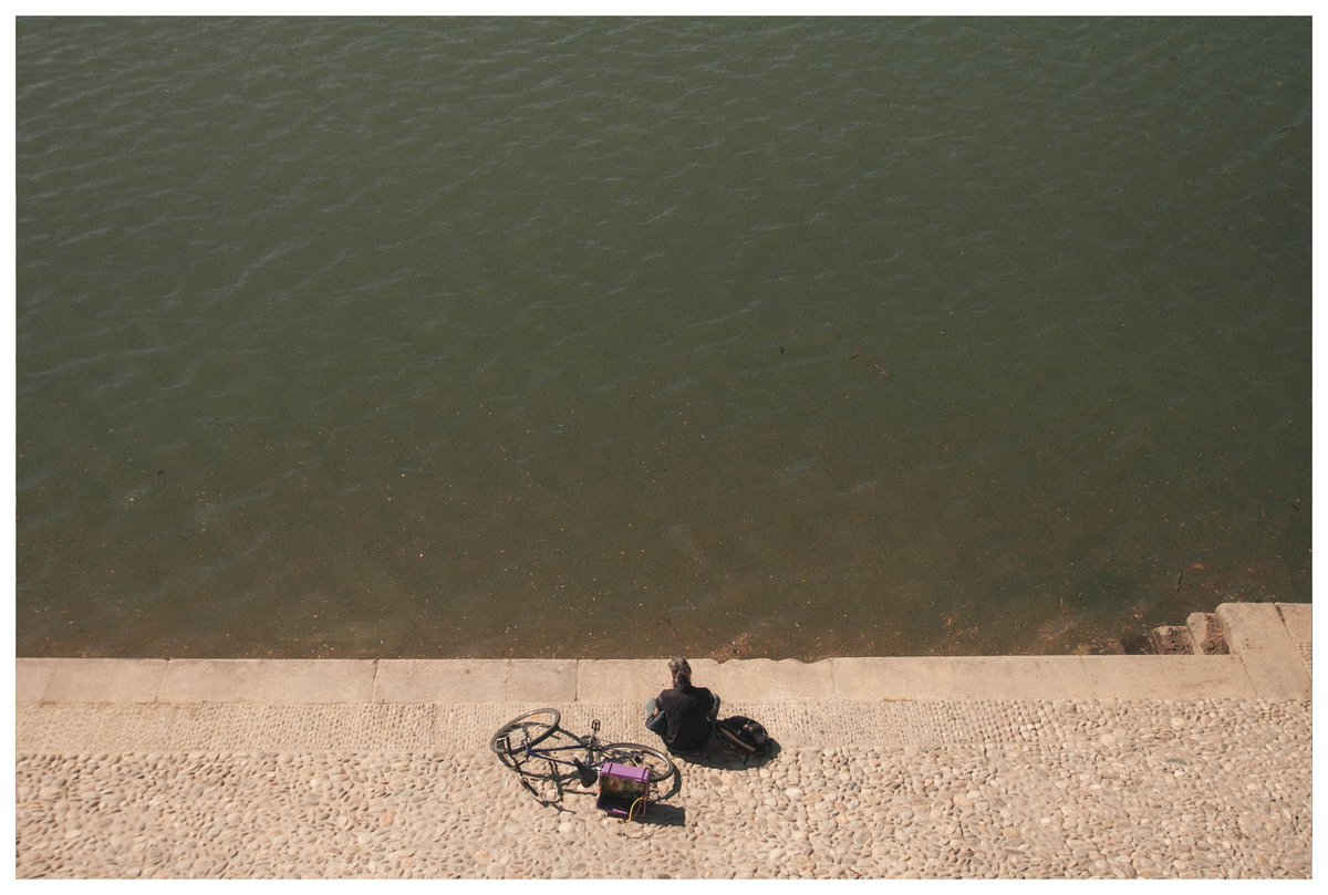 Fallow 🦩 tweet media