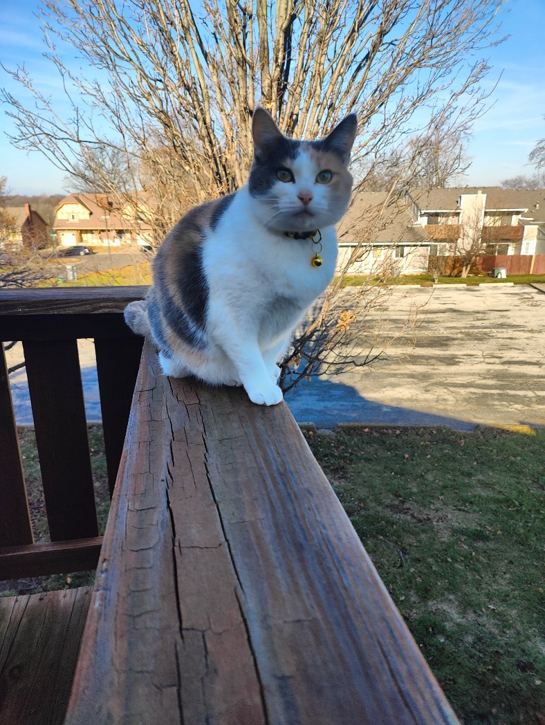 BulkZerker tweet media