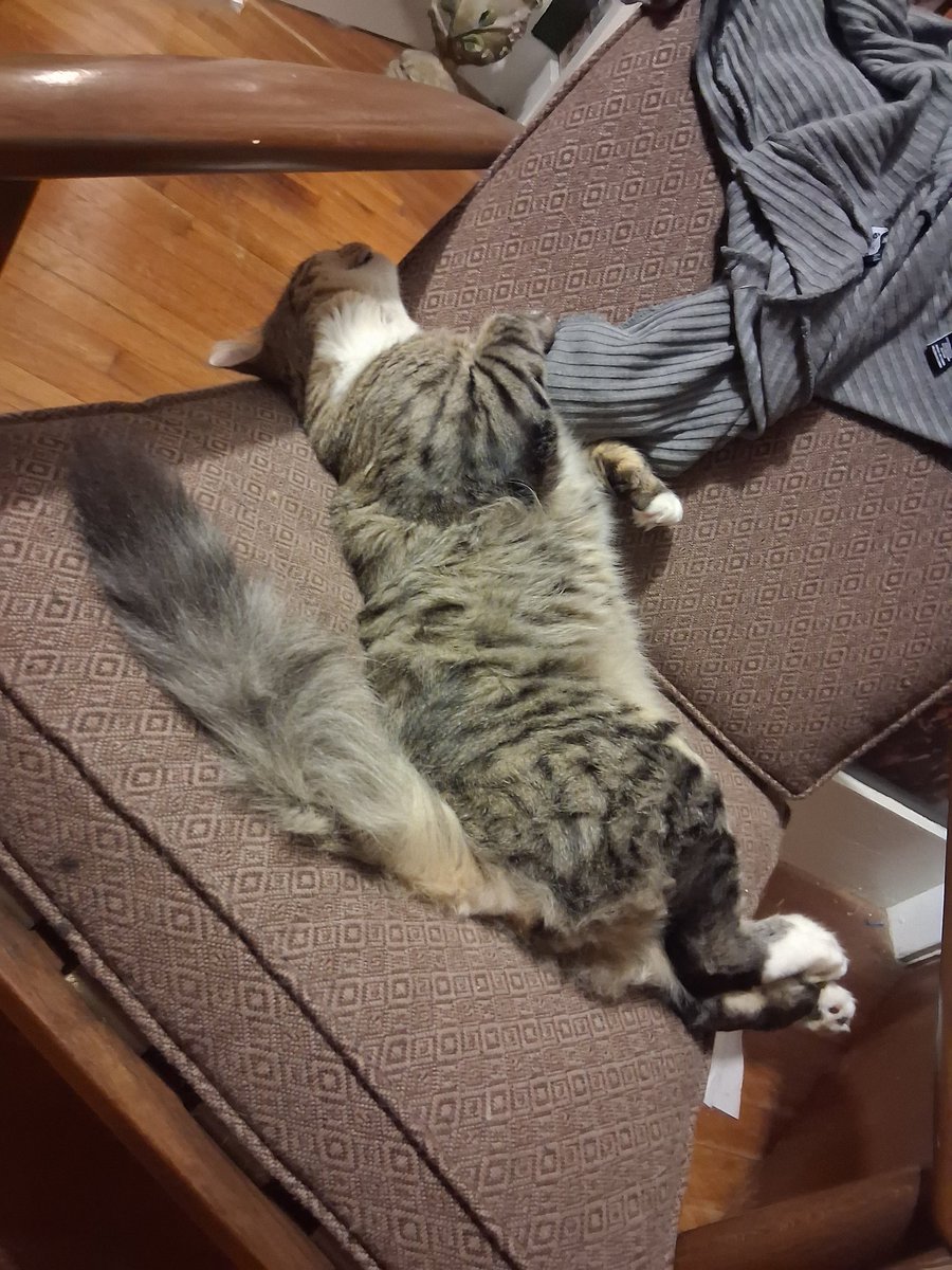 Yves #ILMBF tweet media