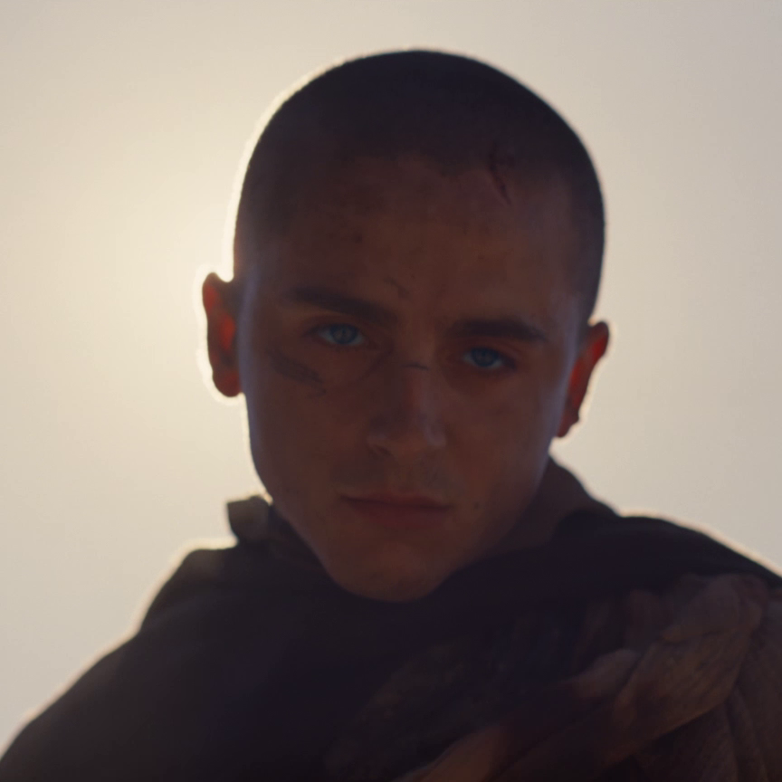 DuneInfo tweet media