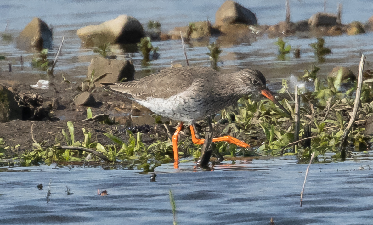 Julian Keeble tweet media