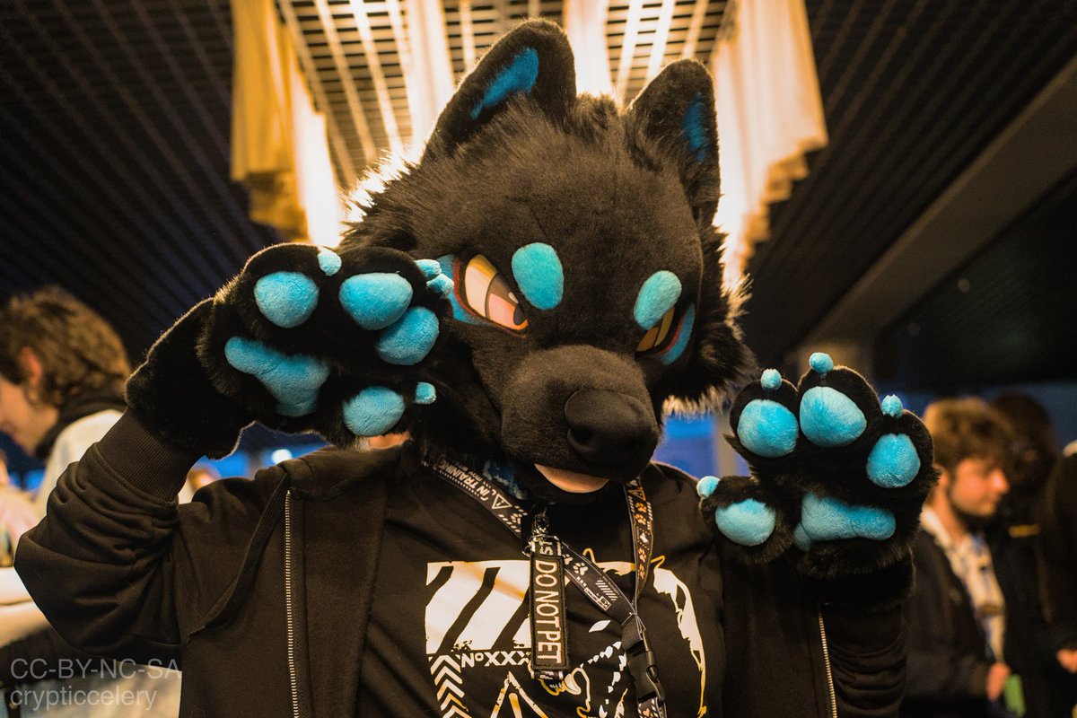 StuffedTailsFursuits |STF| tweet media