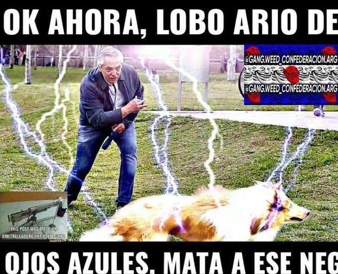 Malba poi (@mbnnvp99567) on Twitter photo 