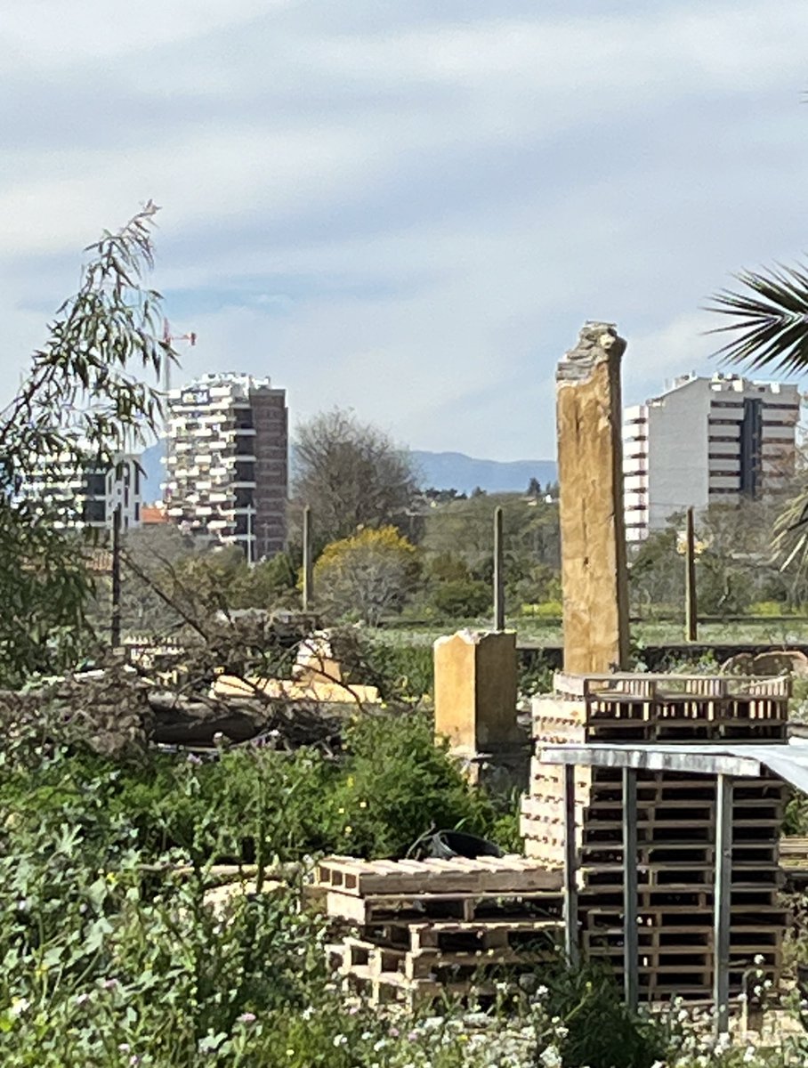 En un lugar de la Huerta tweet media