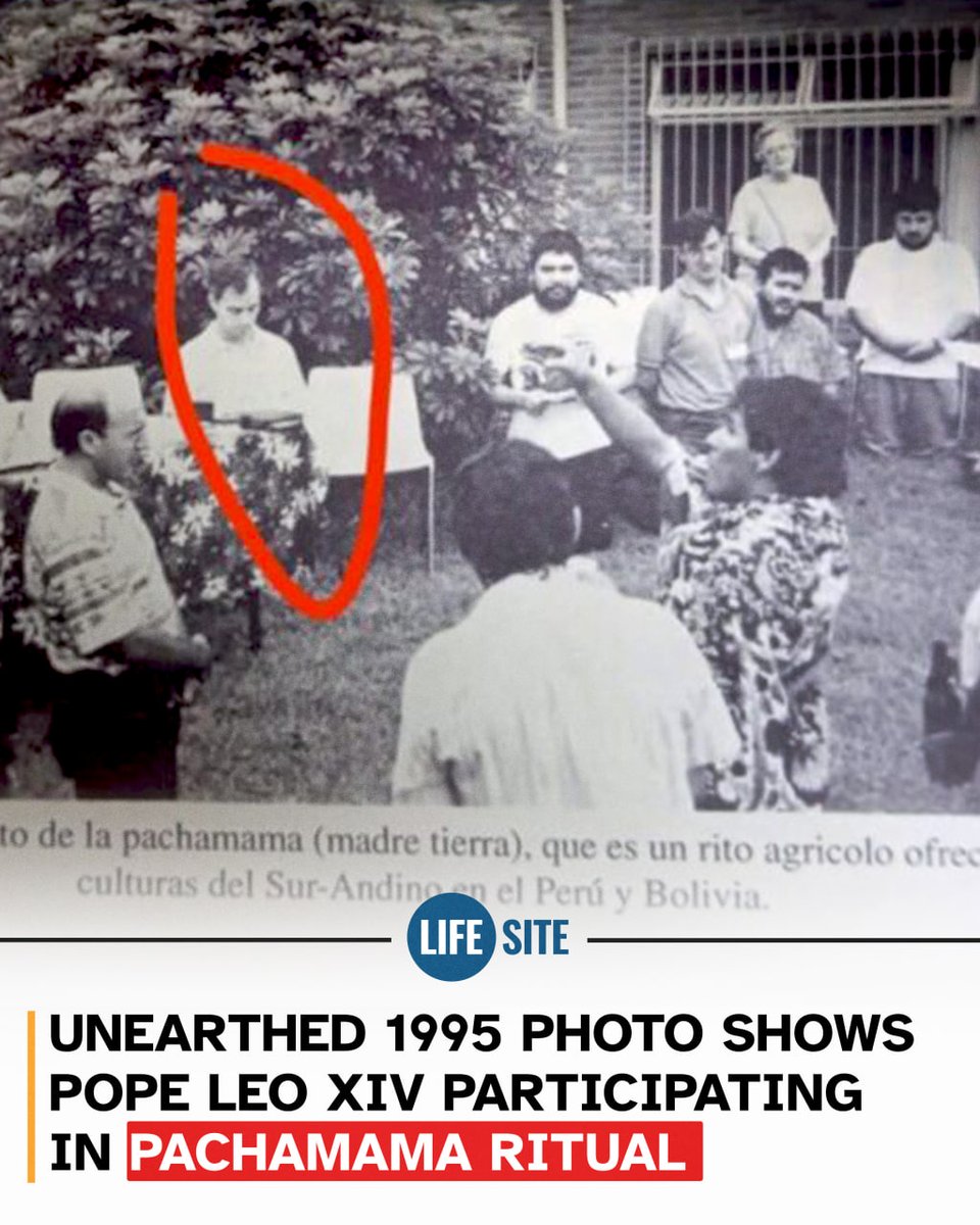 LifeSiteNews tweet media