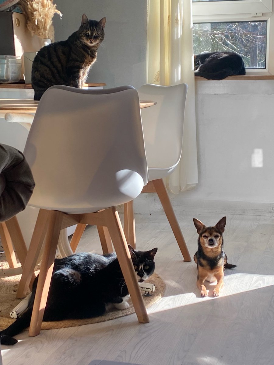 Samantha tweet media