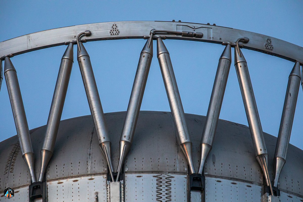 Starbase Surfer tweet media