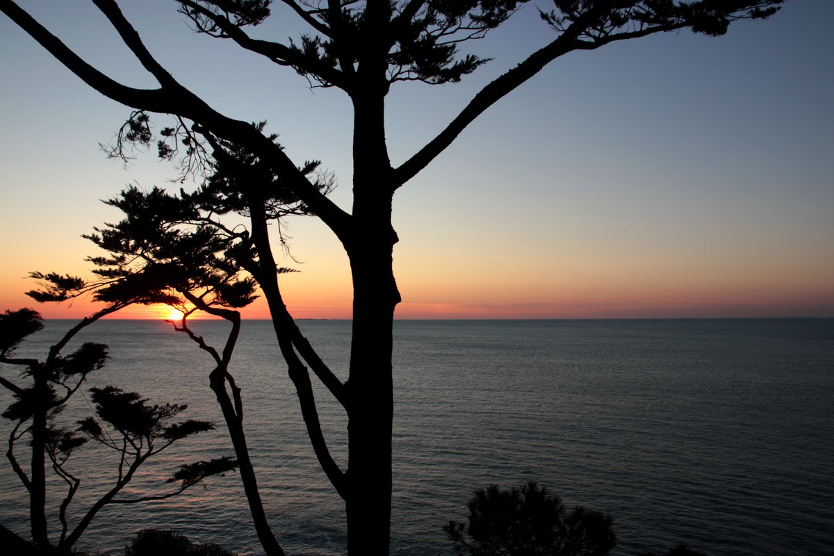 William Chevillon tweet media