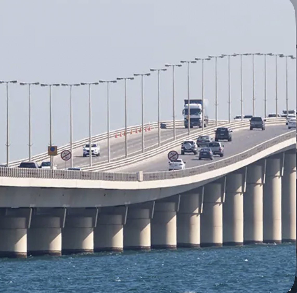 صالح حمامة tweet media