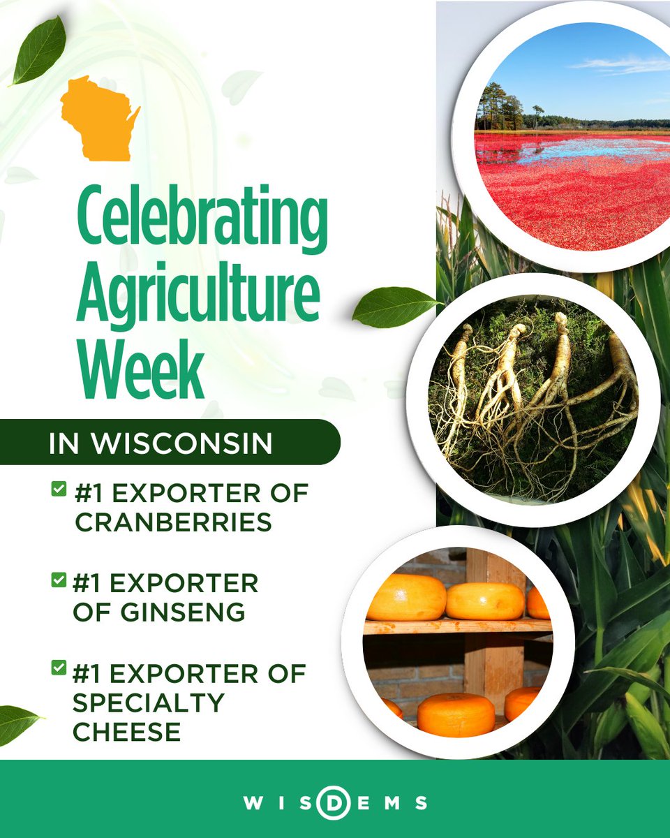 Wisconsin Democrats tweet media