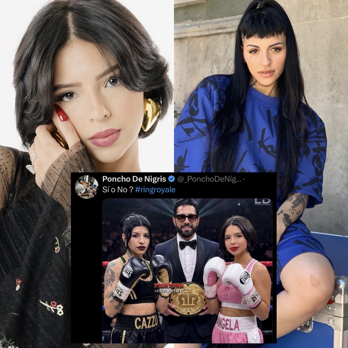 Cerebros tweet media