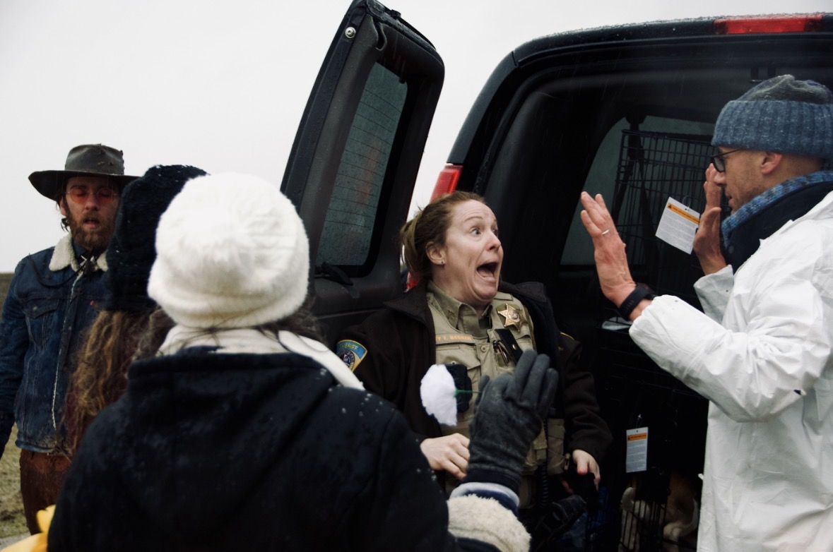 Wayne Hsiung tweet media