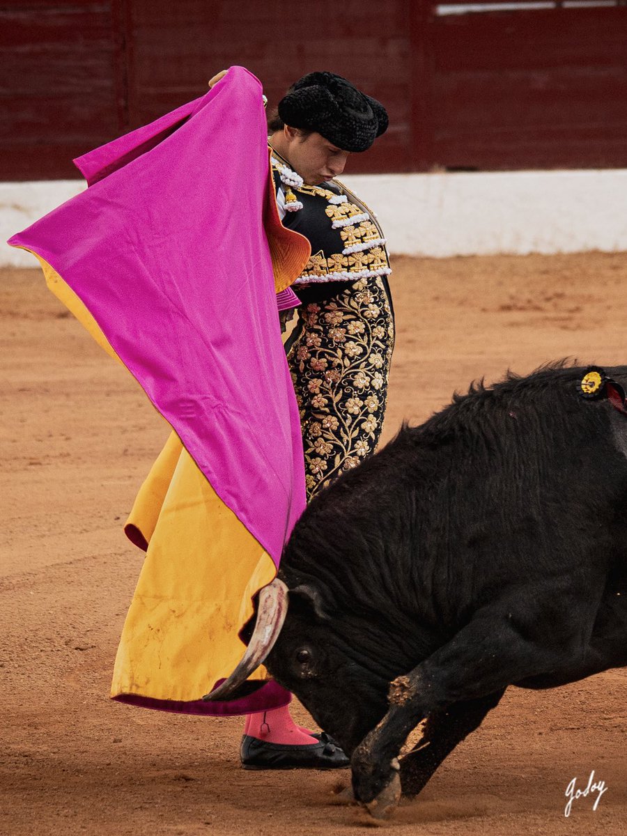 Eugenia Godoy tweet media