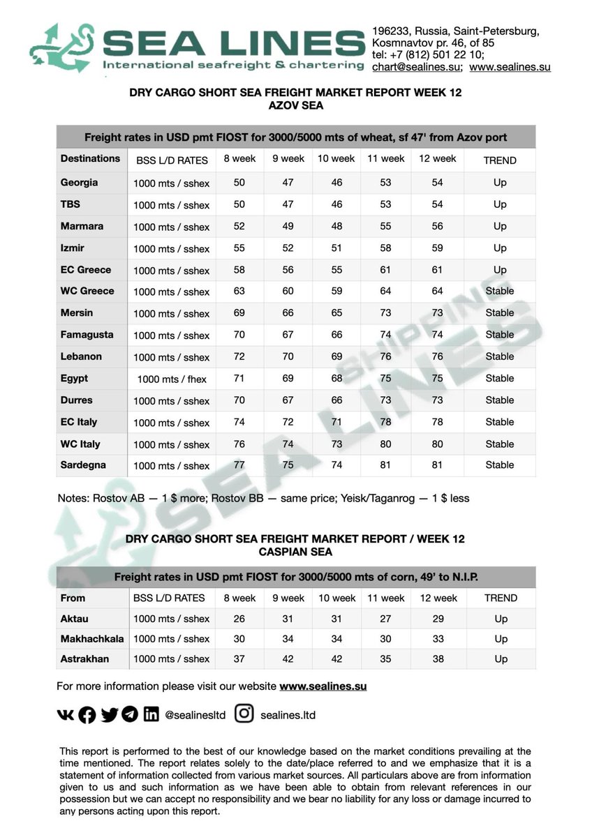 VEYSEL KAYA tweet media