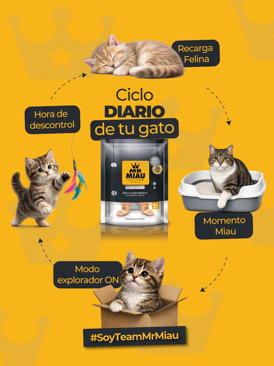 Animal's® 🇨🇴| Todo Para tu Mascota tweet media