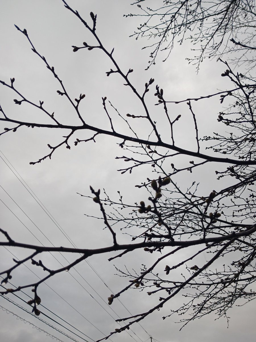 株式会社QCDクリエイト苅田 tweet media