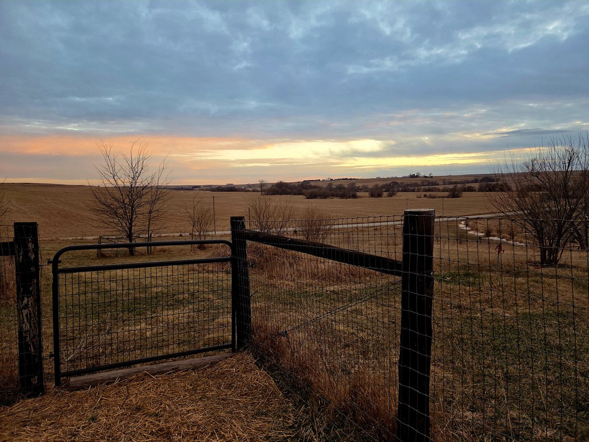 Down The Road Homestead tweet media