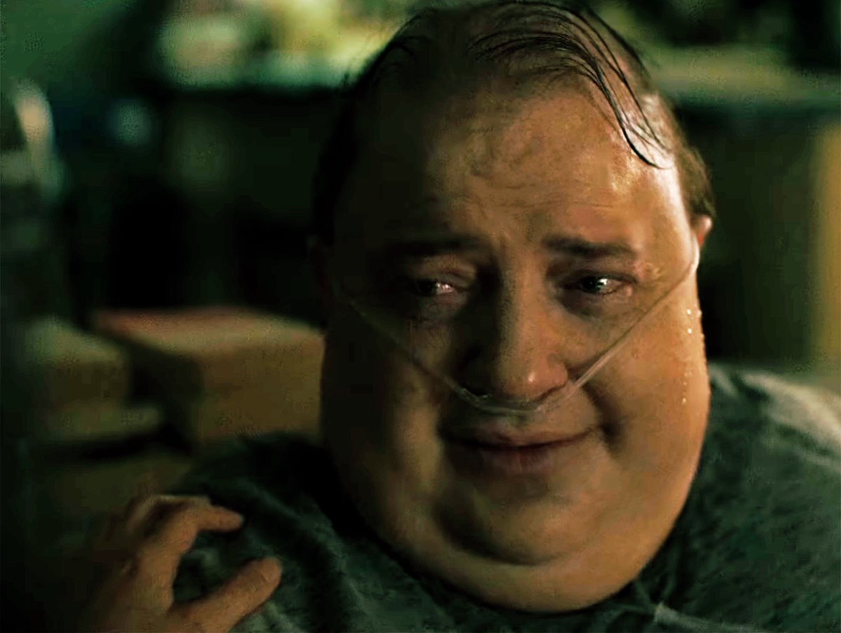 🌎 🔔 tweet media