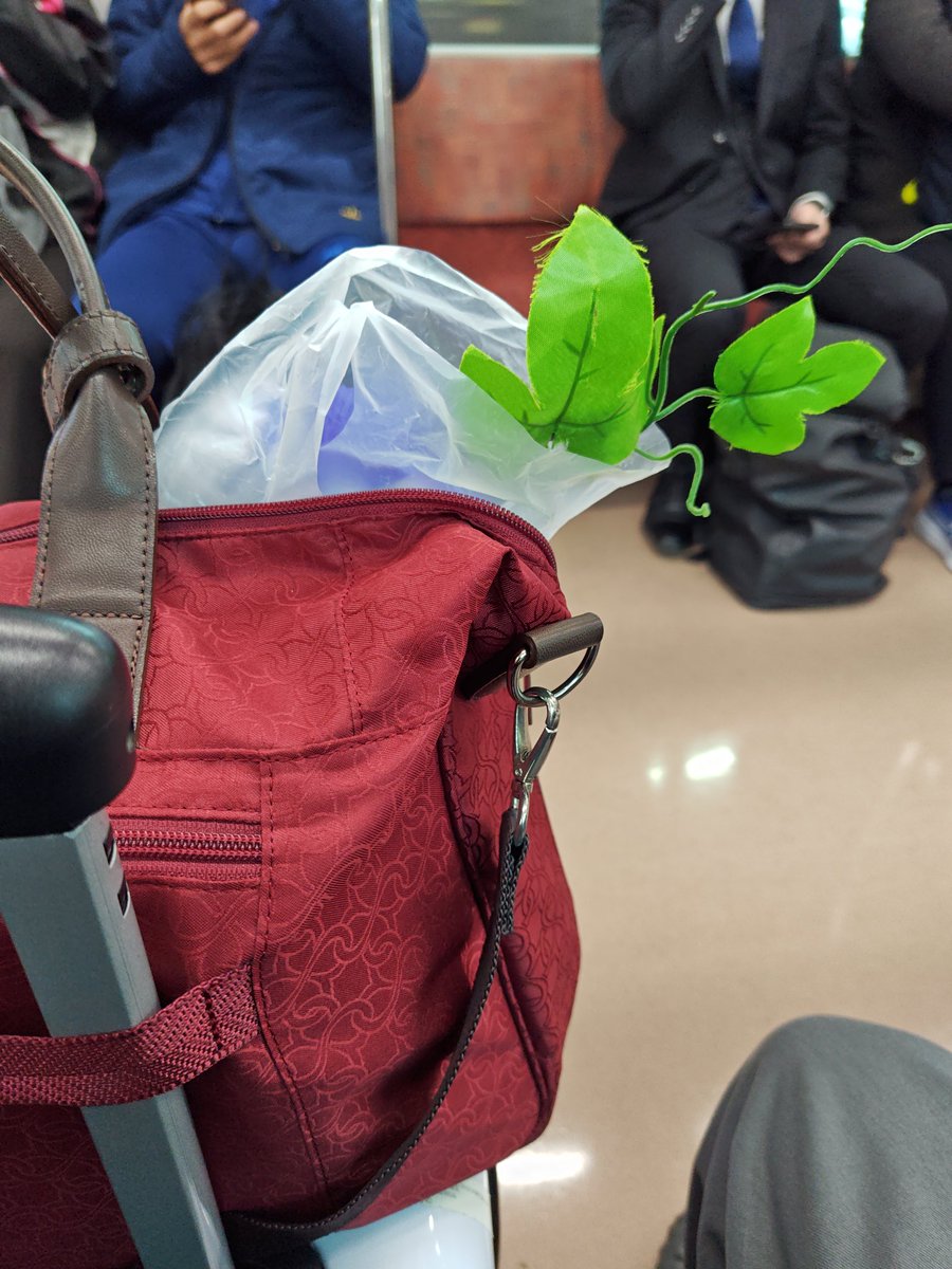 出ちゃってる…