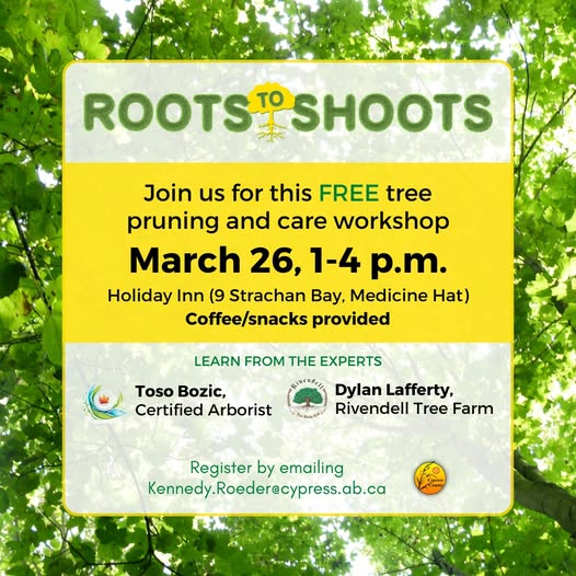 Rivendell Tree Farm tweet media