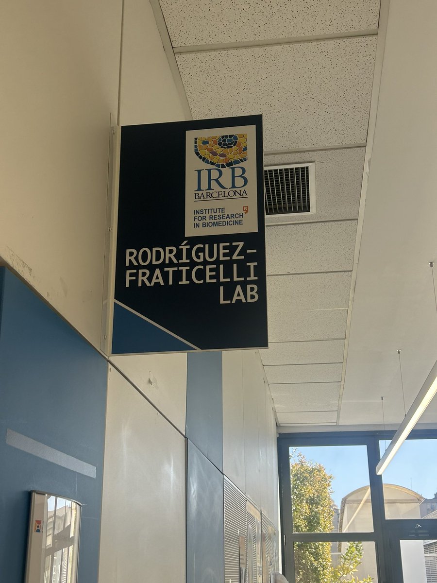 Eirini Papapetrou, MD, PhD tweet media