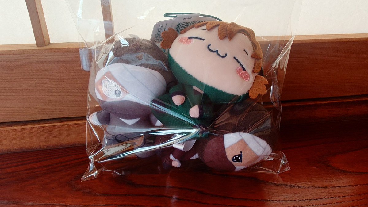 「ぬいたちが届いた!! ぴこ雑がぴこ伊に乗っかられててかわいいねぇ」|要のイラスト