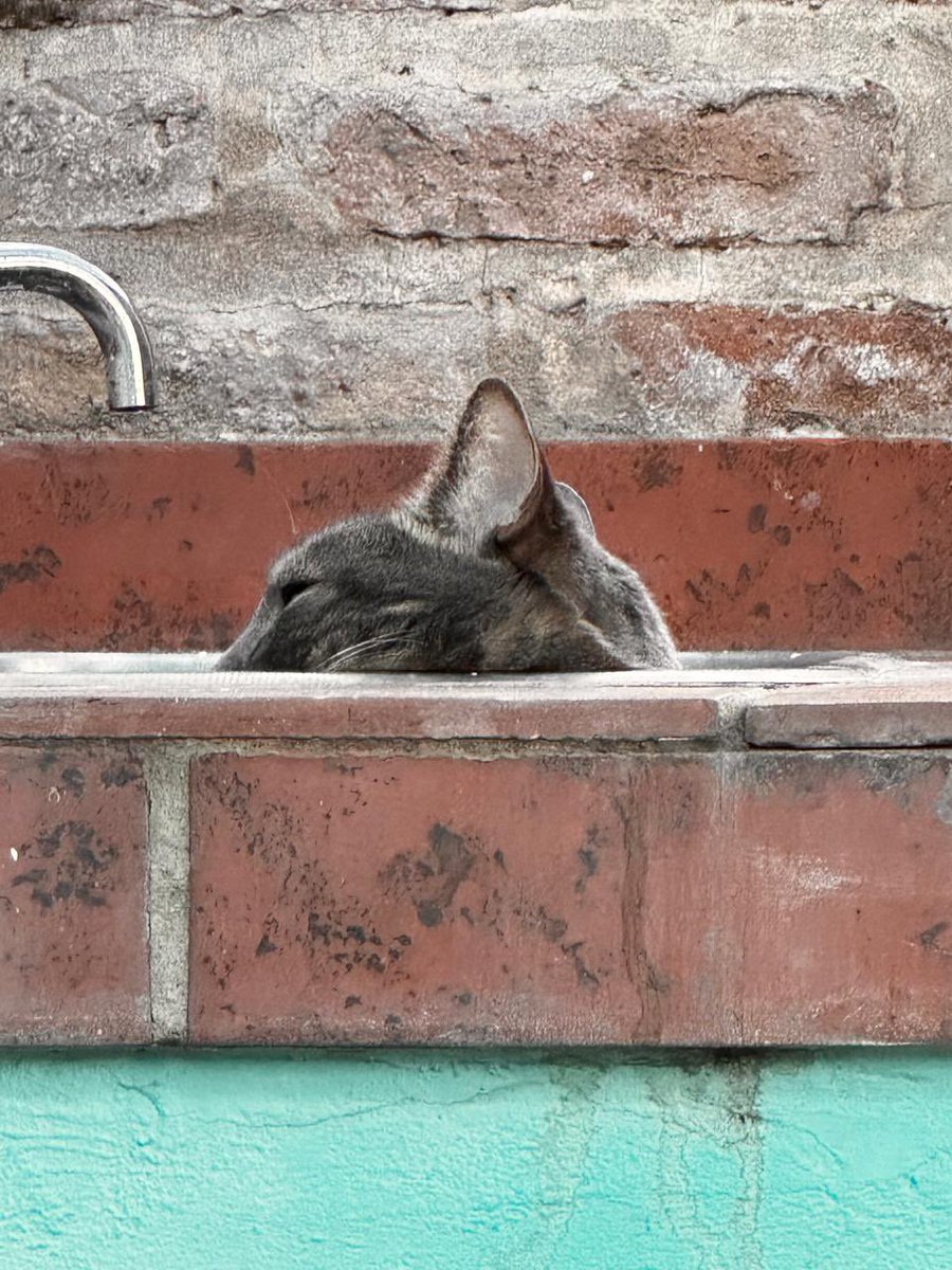 Punto Ciego tweet media