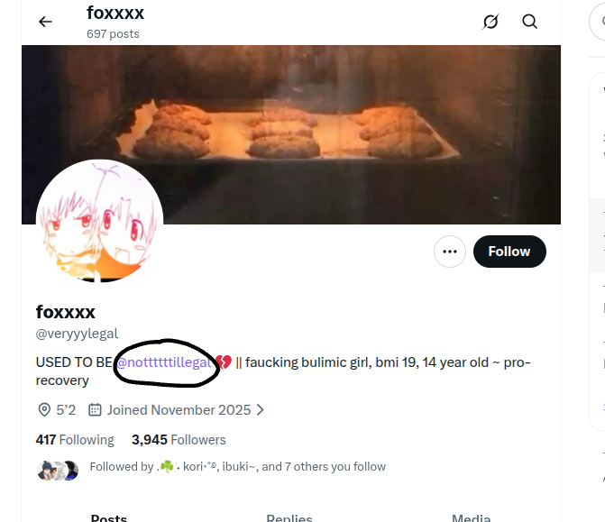 lex 🕸 tweet media