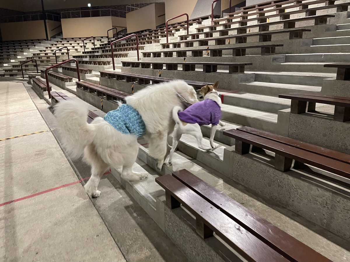 水野有彩 tweet media