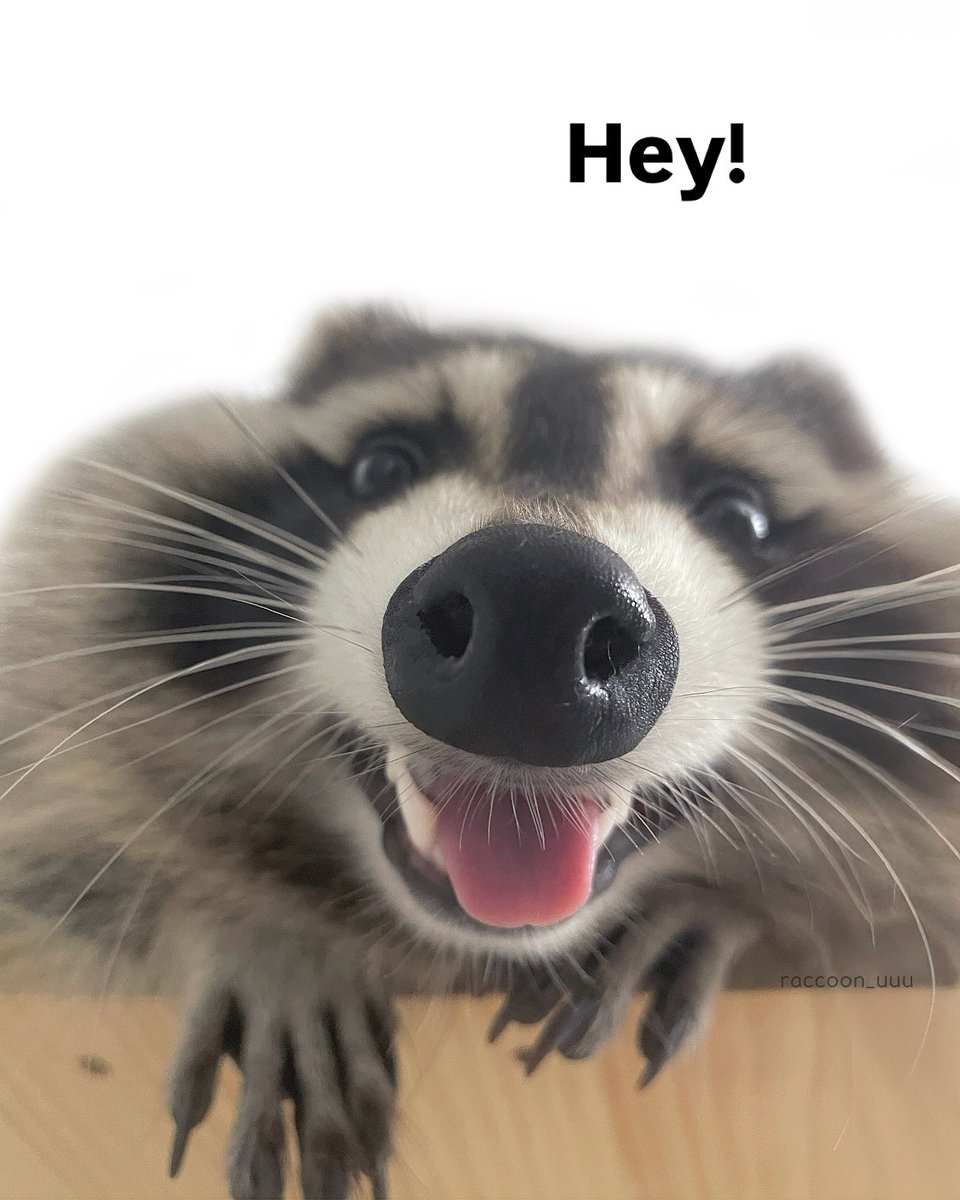 GiftiPlus tweet media