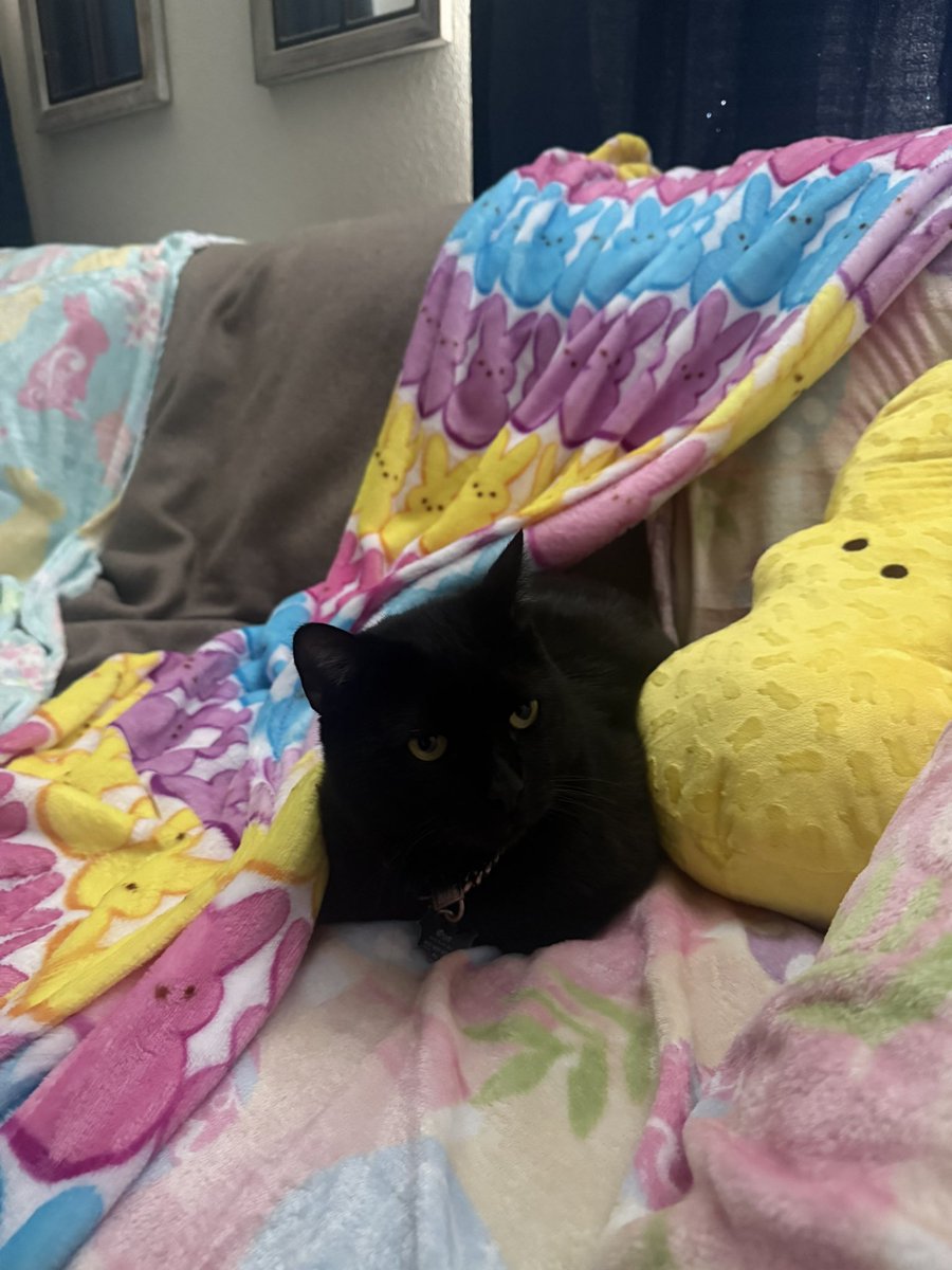 𝓓𝓪𝓿𝓲𝓭🇲🇽 tweet media