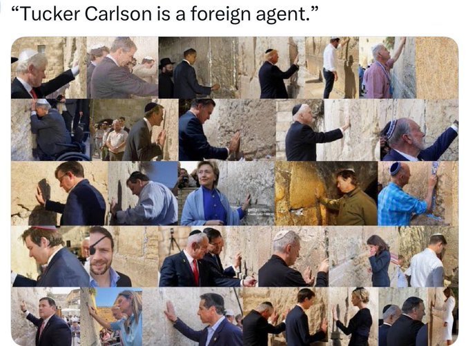 Dan Scholl tweet media