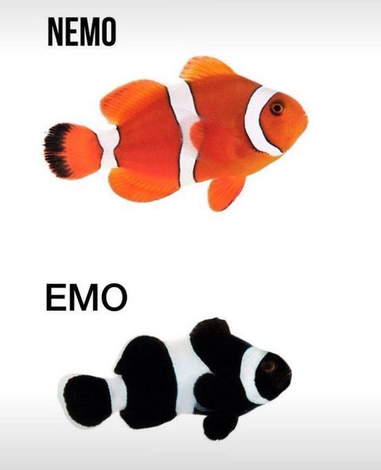 Memakker tweet media