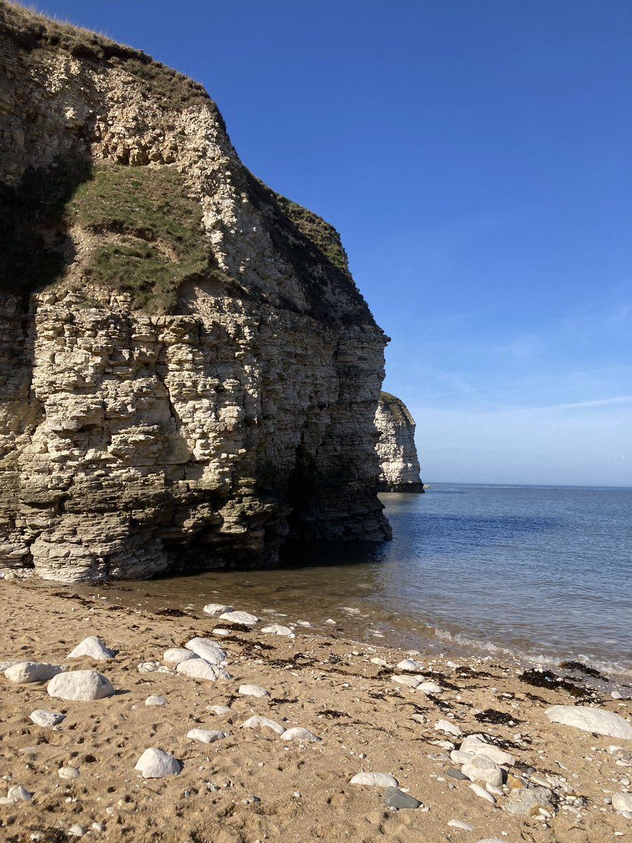 FJHolland tweet media