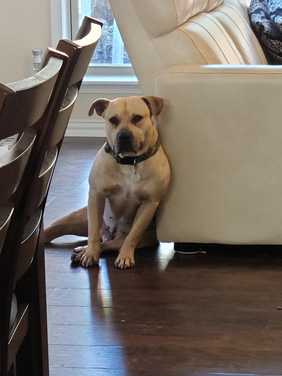 UFD CORRAL 🦄 💨 ✨ tweet media